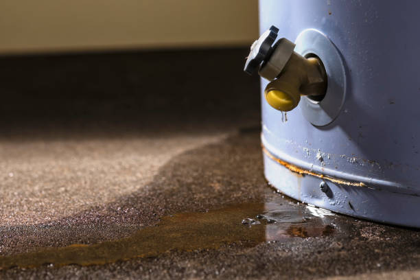 Best Water damage restoration near me  in Miller, SD
