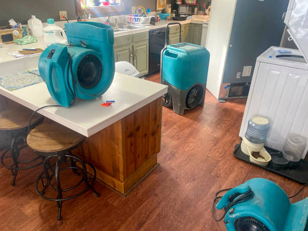 Best 24-hour water damage restoration  in Miller, SD