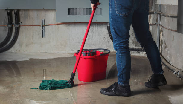 Best Residential water damage restoration  in Miller, SD