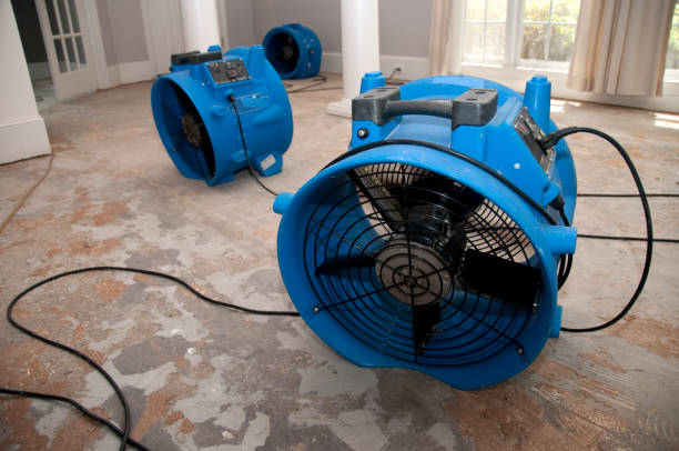 Best Carpet water damage restoration  in Miller, SD