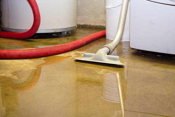 Best Carpet water damage restoration  in Miller, SD
