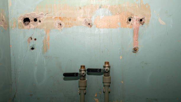 Best Basement water damage restoration  in Miller, SD