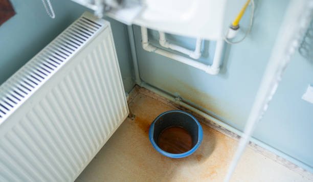 Best Water damage cleanup near me  in Miller, SD