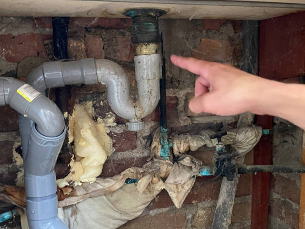 Best Professional water damage repair  in Miller, SD