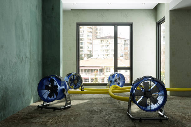 Best 24/7 water damage repair  in Miller, SD
